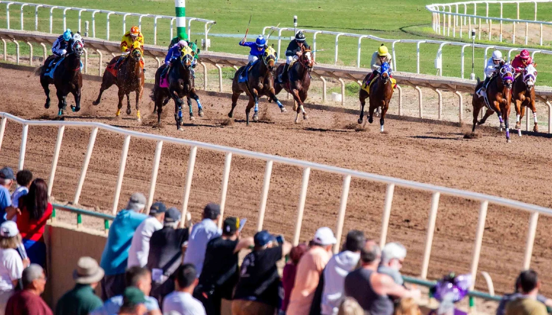 Turf Paradise Kicks Off 68th Season Despite Uncertainty on Multiple Fronts