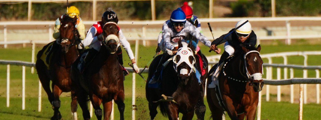 Turf Paradise Receives First Arizona Sports Betting Limited Operator License