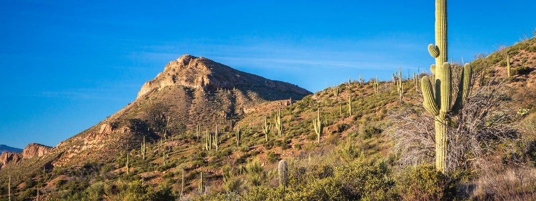 PGA Tour, Pro Teams Line Up Sponsorship Deals in Arizona